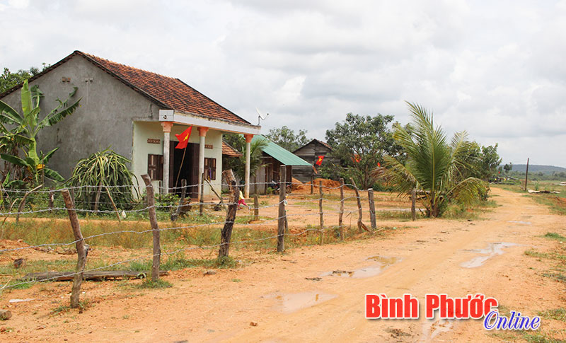 phongsuanh3.jpg