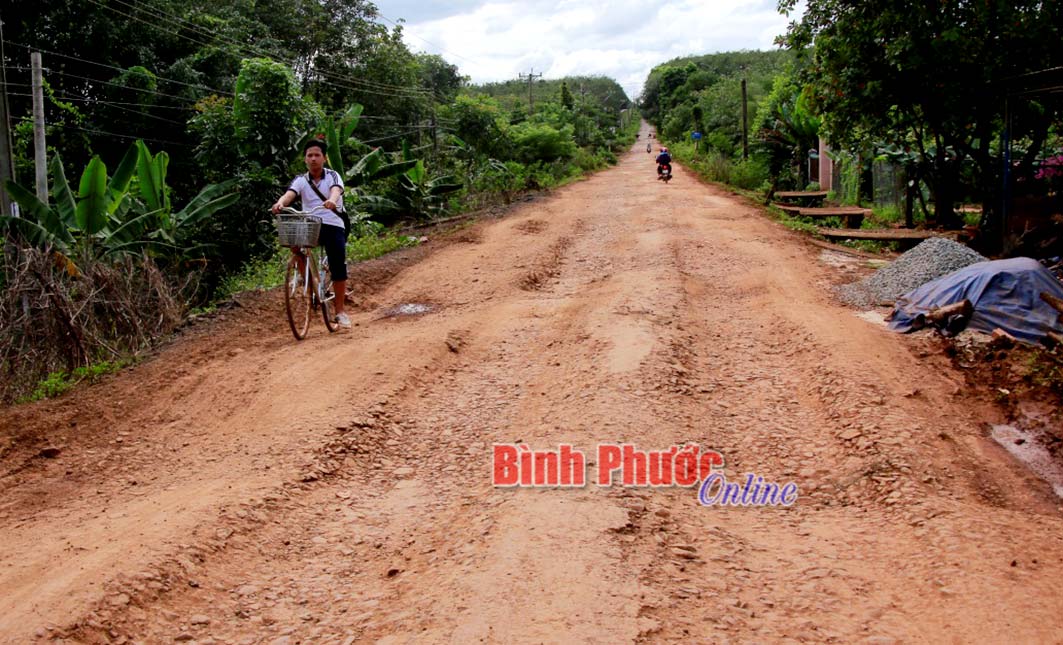 phongsuanh308012018021243.jpg