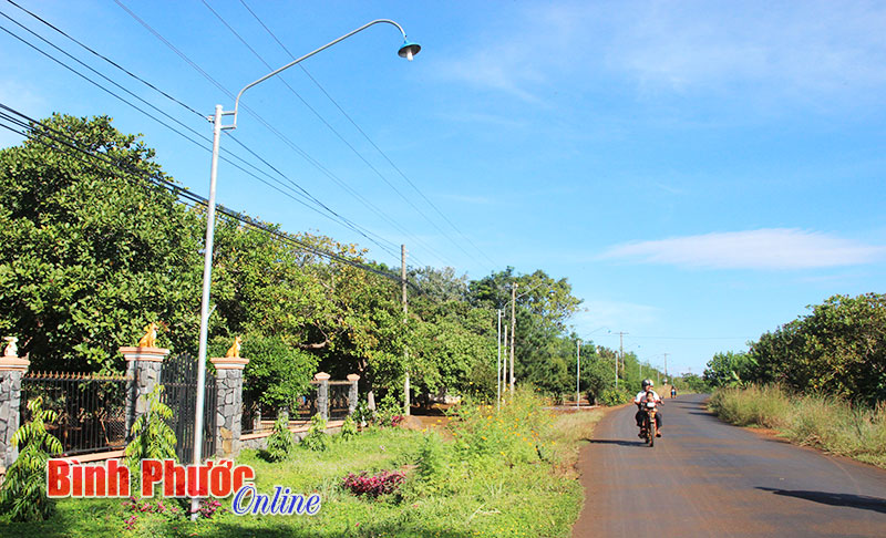 phongsuanh4.jpg