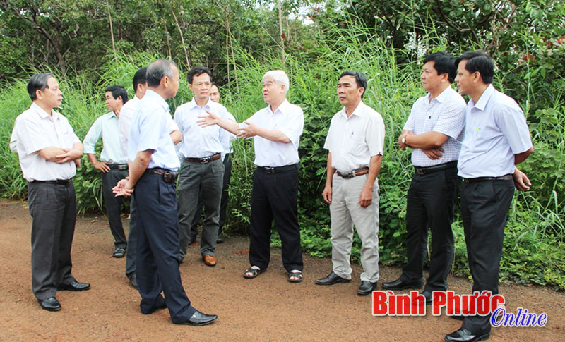 phongsuanh5.jpg