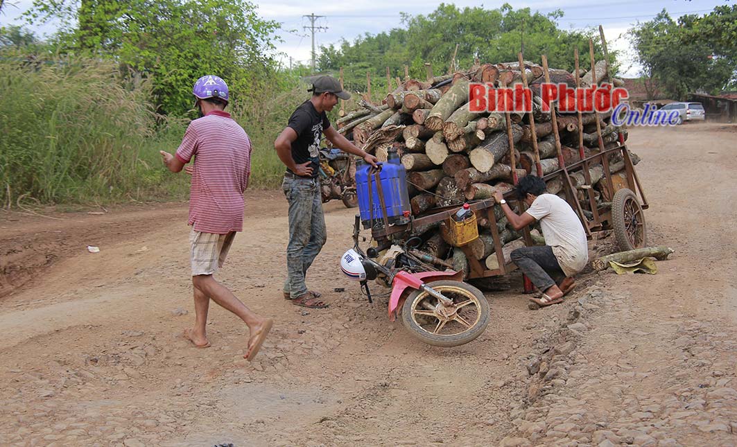 phongsuanh508012018021324.jpg