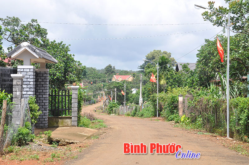 phongsuanh6.jpg