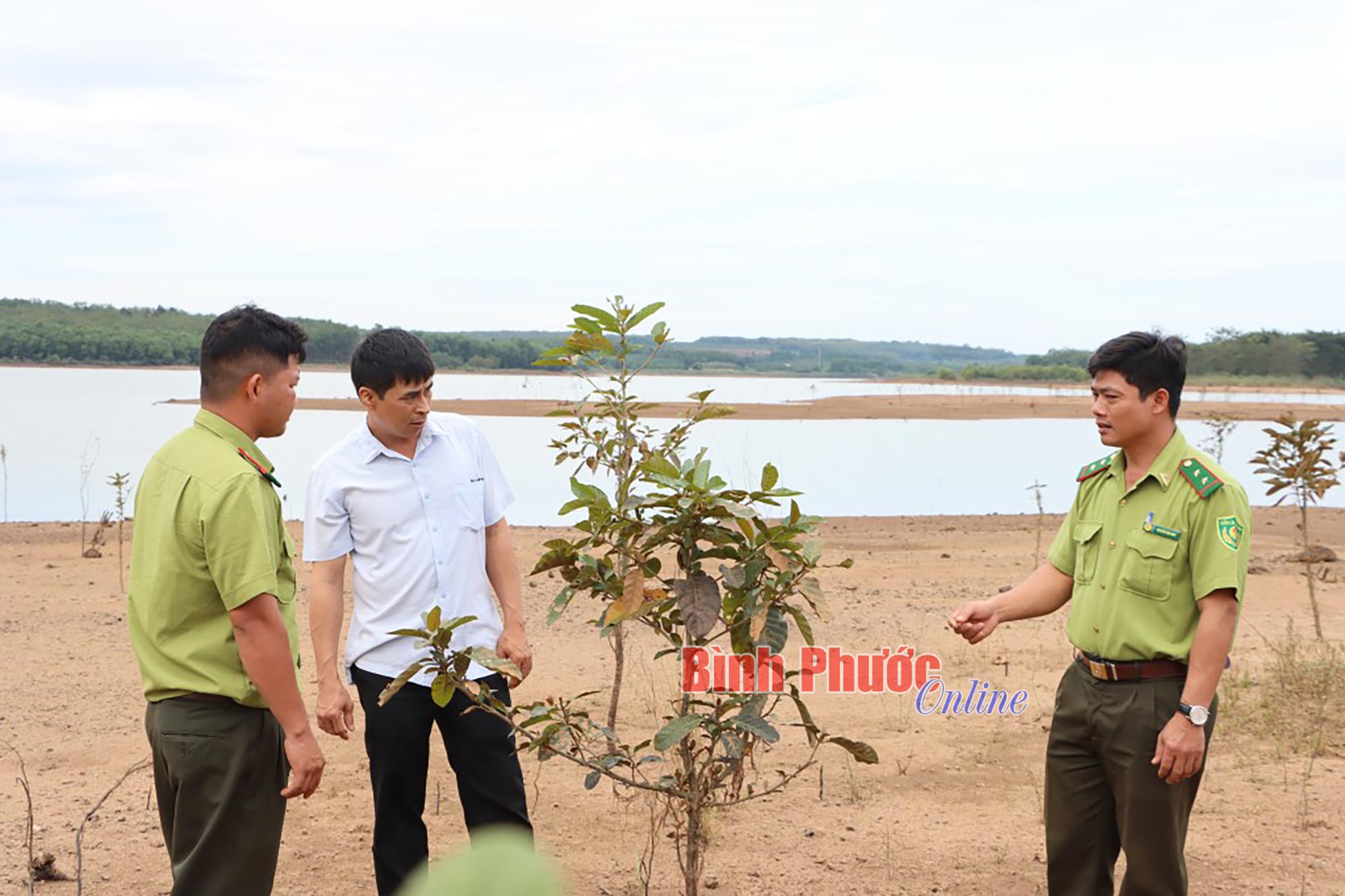 Phủ xanh vùng bán ngập