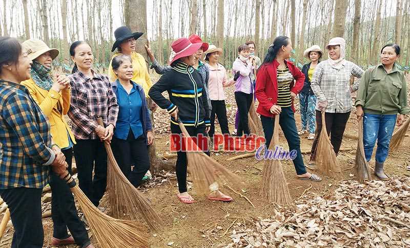 Phụ nữ Bù Gia Mập giúp nhau phát triển kinh tế Phụ nữ Bù Gia Mập giúp nhau phát triển kinh tế