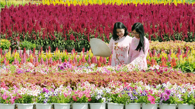 Phụ nữ ơi, em là ai? Phụ nữ ơi, em là ai?