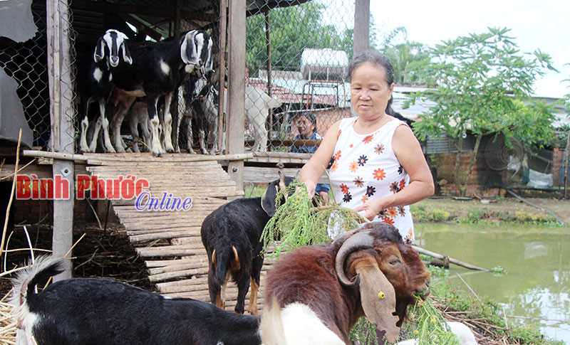 Phụ nữ chung tay xây dựng nông thôn mới Phụ nữ chung tay xây dựng nông thôn mới