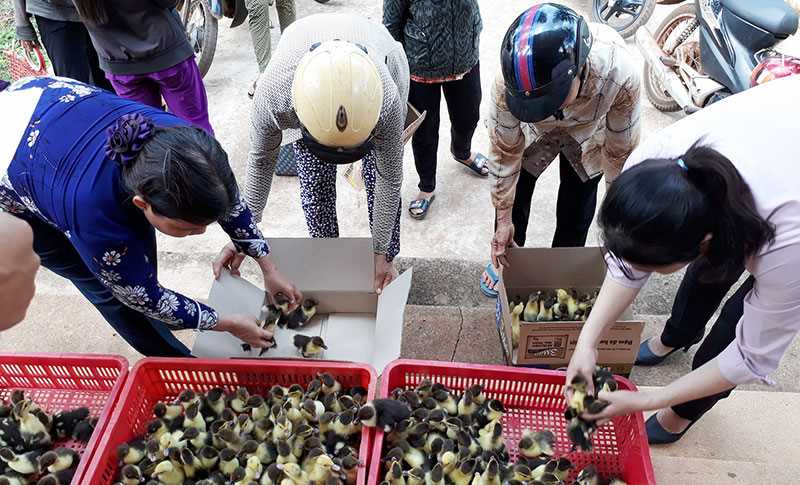 Phụ nữ Thanh An giúp nhau phát triển kinh tế Phụ nữ Thanh An giúp nhau phát triển kinh tế