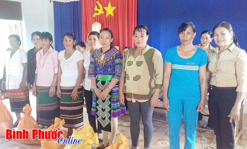 Phụ nữ Bù Đăng giúp nhau phát triển kinh tế gia đình Phụ nữ Bù Đăng giúp nhau phát triển kinh tế gia đình