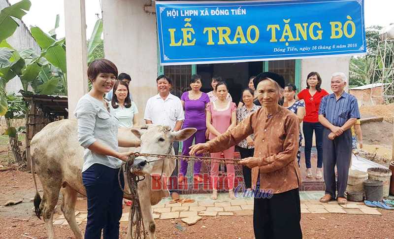 Phụ nữ Đồng Tiến góp sức đổi mới nông thôn Phụ nữ Đồng Tiến góp sức đổi mới nông thôn