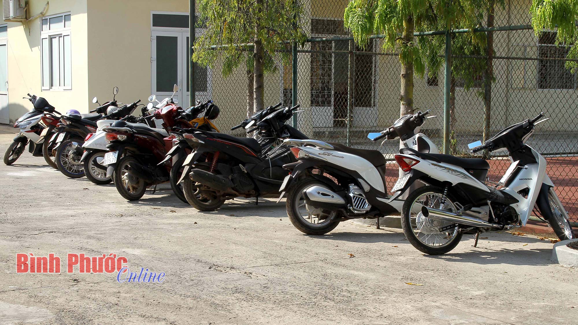 phuong_tien_2_17054109032023.jpg