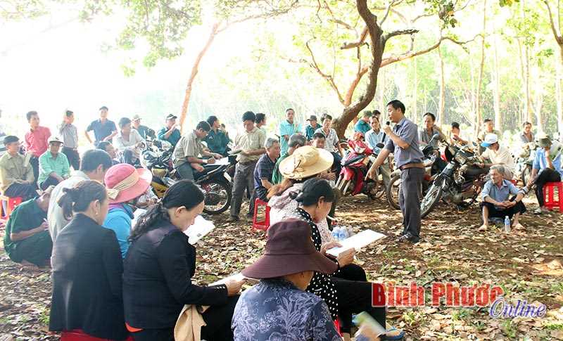 Phú Riềng: Ra quân tập huấn chăm sóc vườn điều đợt 3 Phú Riềng: Ra quân tập huấn chăm sóc vườn điều đợt 3