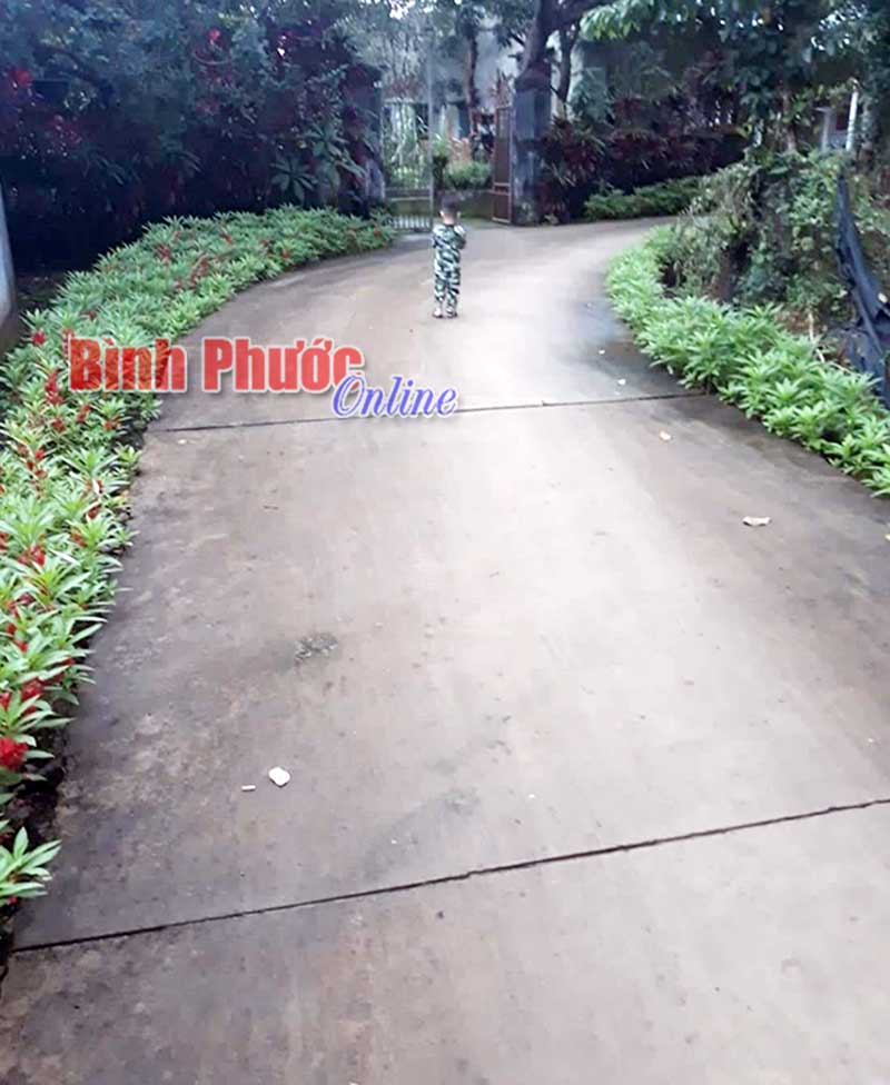phutrung30102019025448.jpg