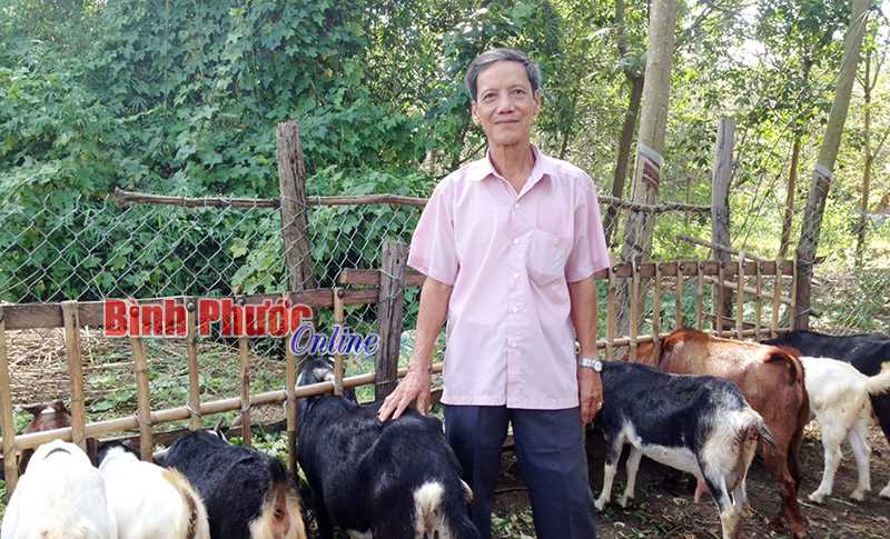 Khá lên từ vốn Quỹ hỗ trợ nông dân