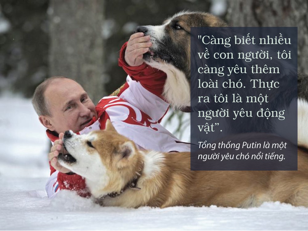putin619032018034806.jpg