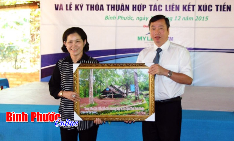 Đẩy mạnh phát triển ngành du lịch trên địa bàn tỉnh Đẩy mạnh phát triển ngành du lịch trên địa bàn tỉnh