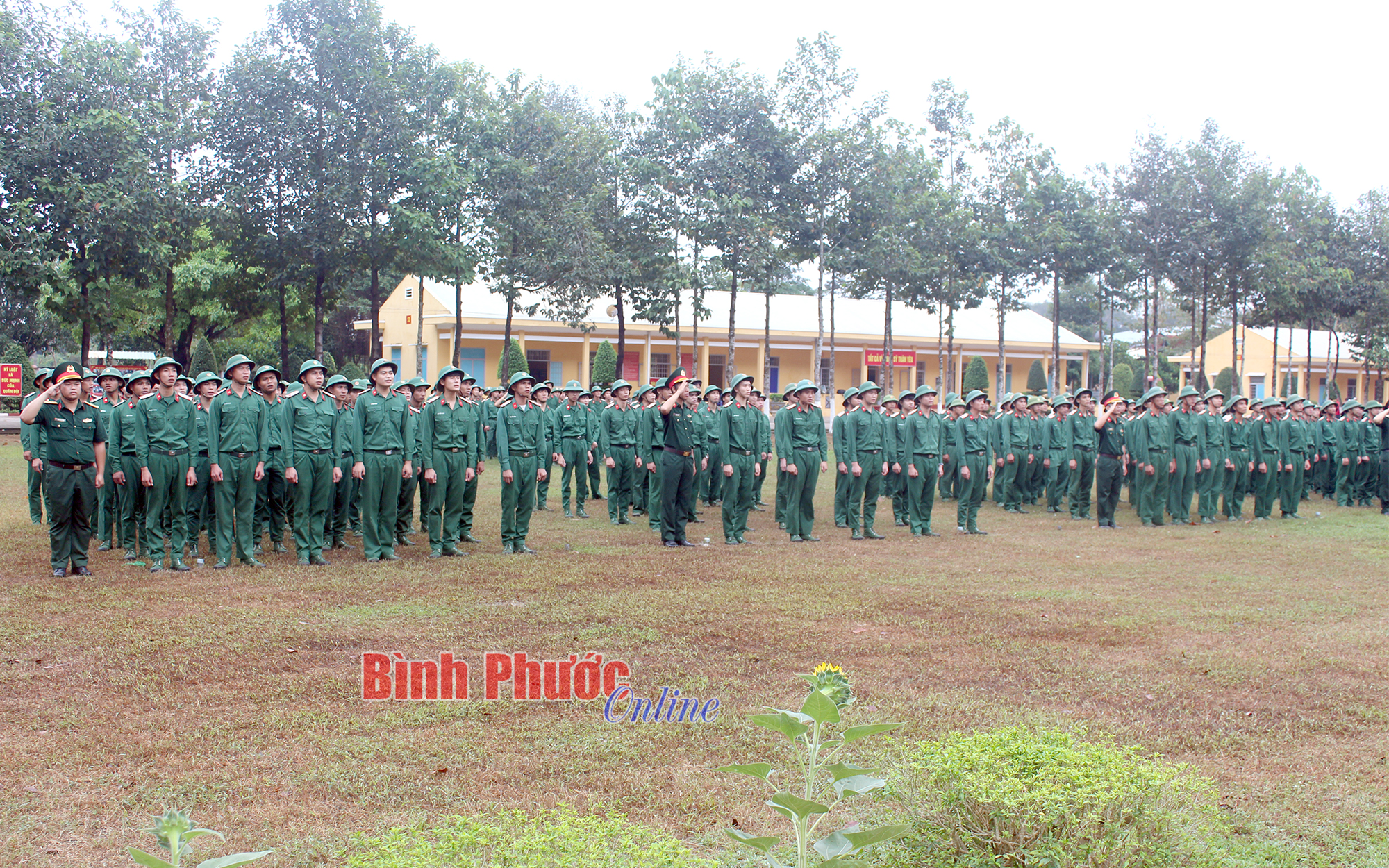 quang_canh_buoi_le_15060411012023.jpg