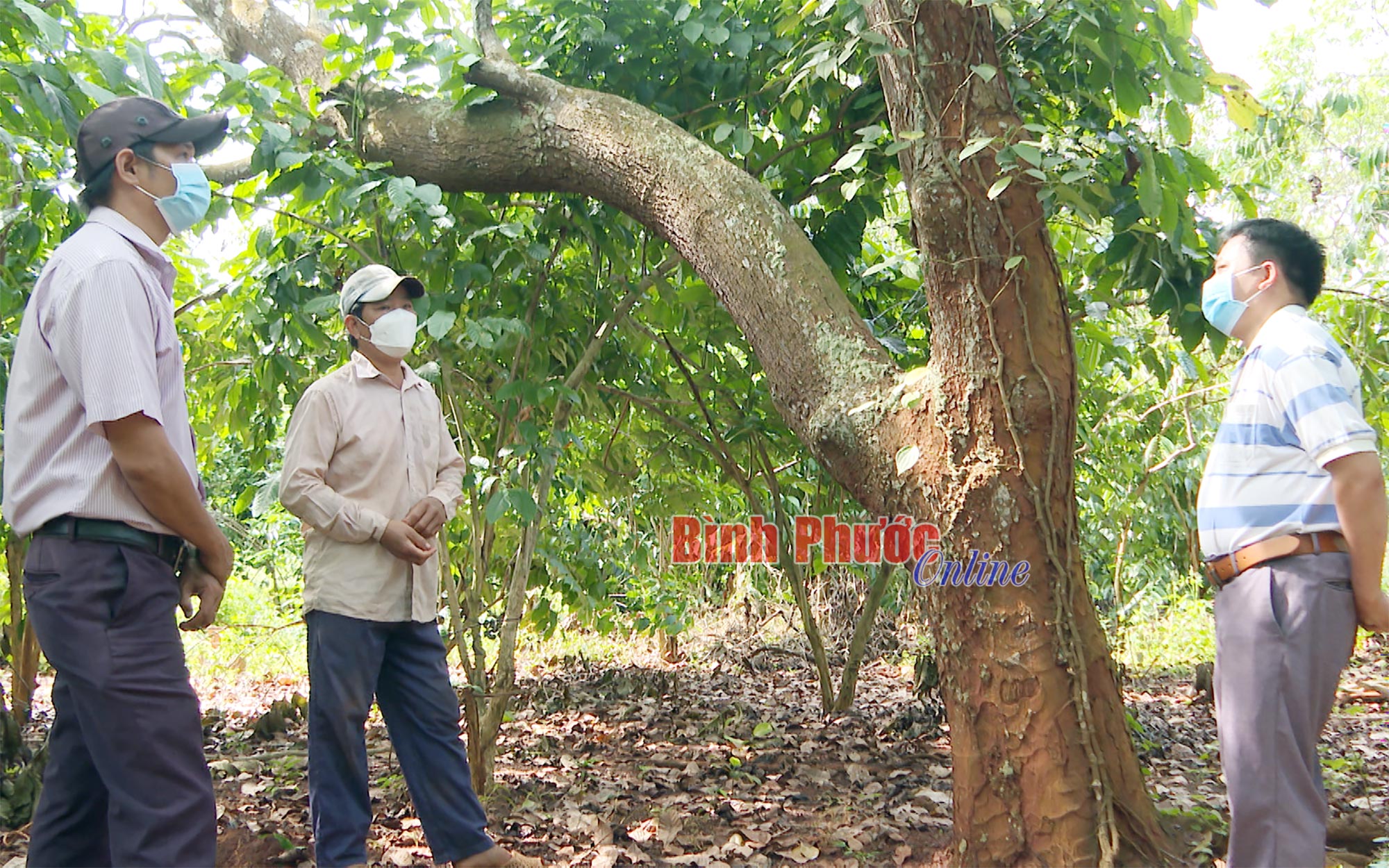 quangteo1137_mxf_00_51_31_15_19355010082022.jpg