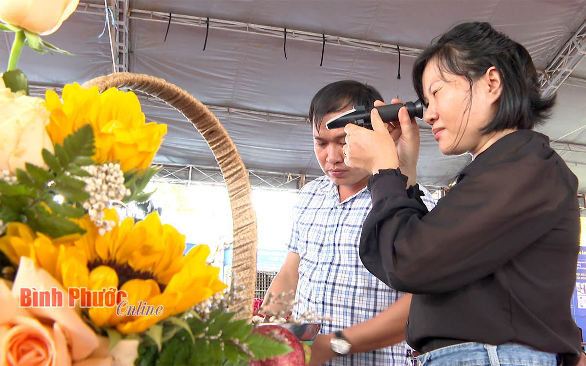 quangteo3039_mxf_09_51_54_18_17530701062022.jpg