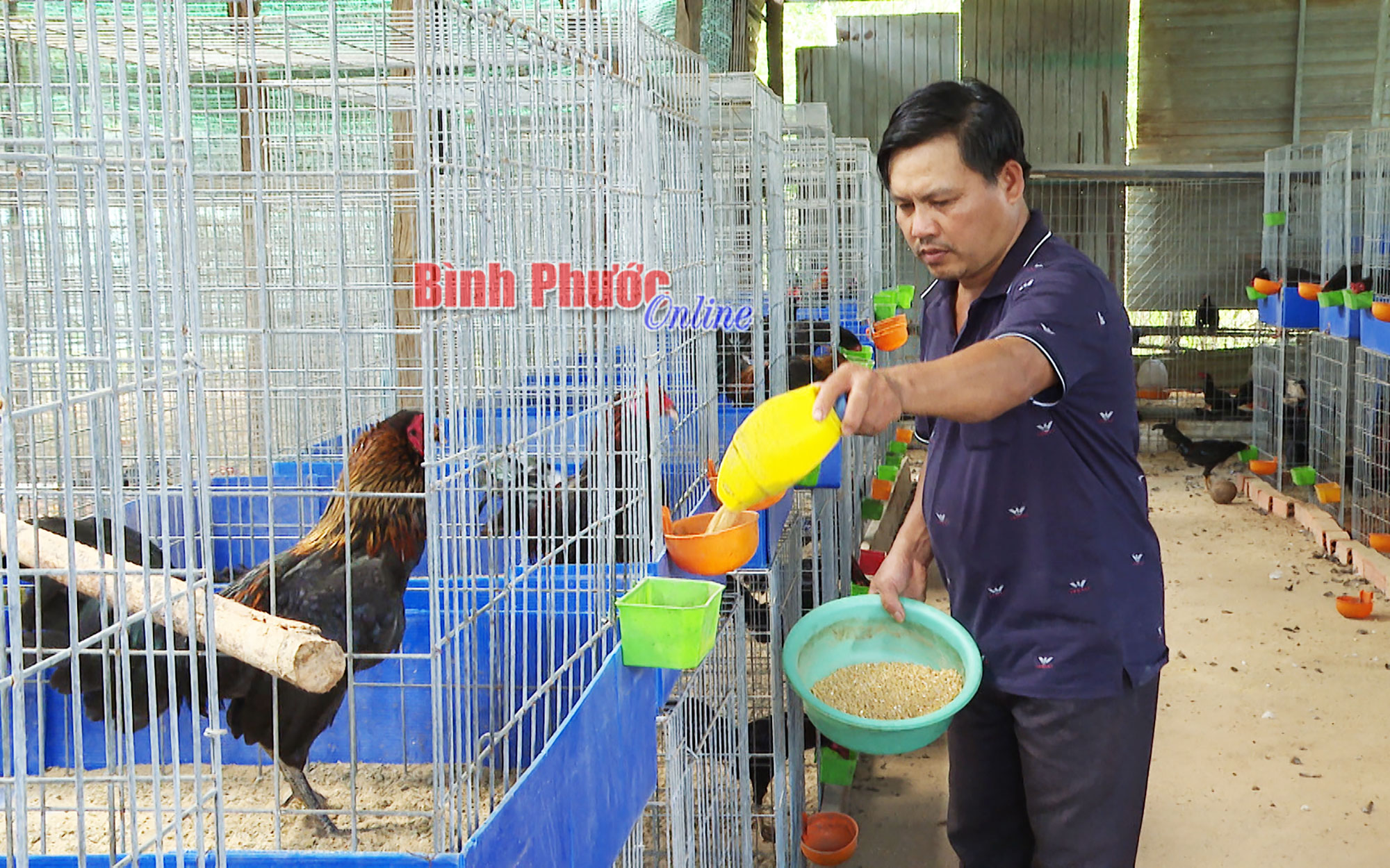 quangteo5081_mxf_15282912042022.jpg