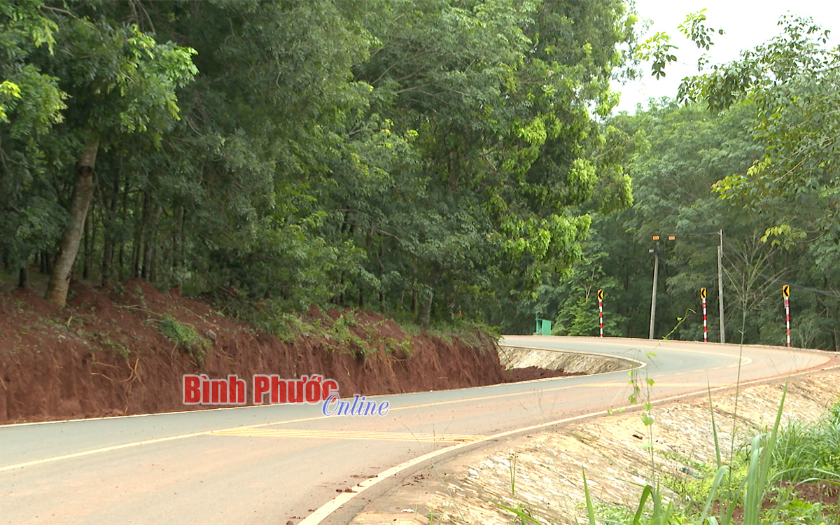 quangteo6528_mxf_20_53_36_17_06512812072022.jpg