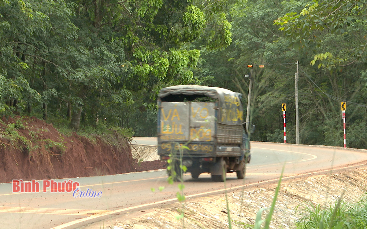 quangteo6529_mxf_20_53_37_21_06505912072022.jpg