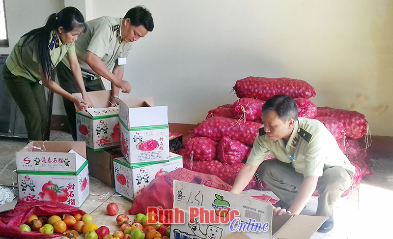 Quản lý thị trường Bù Đăng tiêu hủy trái cây không rõ nguồn gốc Quản lý thị trường Bù Đăng tiêu hủy trái cây không rõ nguồn gốc