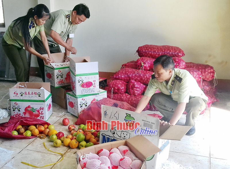 Để không còn bị đầu độc bởi trái cây Trung Quốc