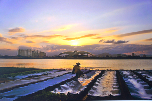 quanyeuthuong229032014031909.JPG