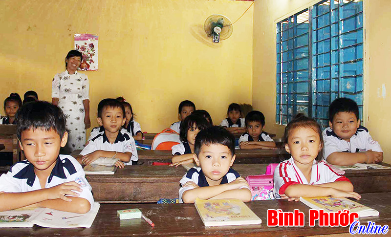 quataiotruongtieuhockimdong2.jpg