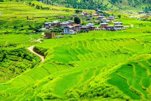 "Chẳng ai đến thăm" quốc gia hạnh phúc nhất thế giới