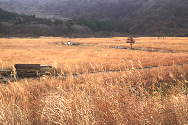 quyenru508122014042104.jpg