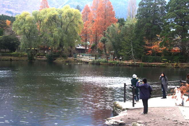 quyenru608122014042105.jpg