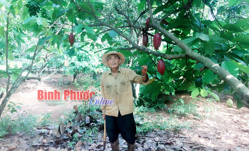 Quỹ hỗ trợ nông dân tiếp sức nhà nông làm giàu