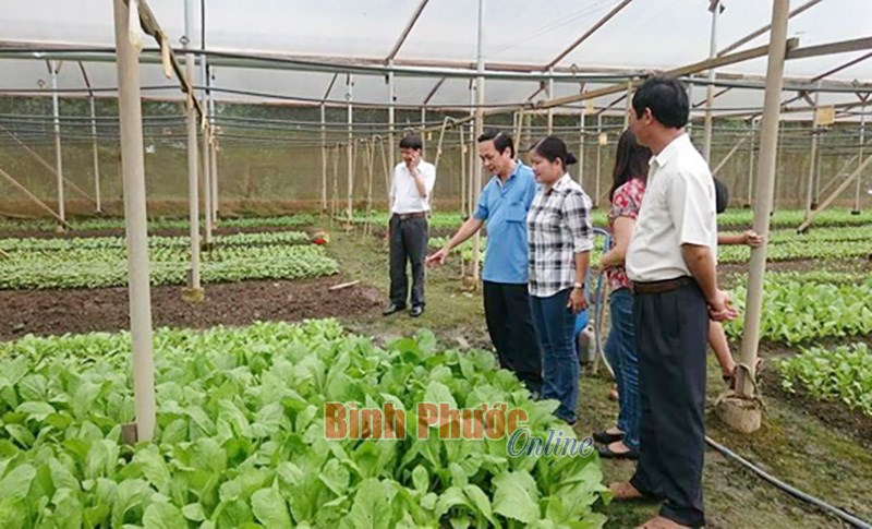 Quỹ hỗ trợ nông dân - điểm tựa của nhà nông
