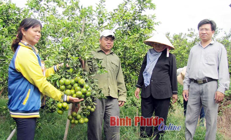 quytduong15122017035804.jpg
