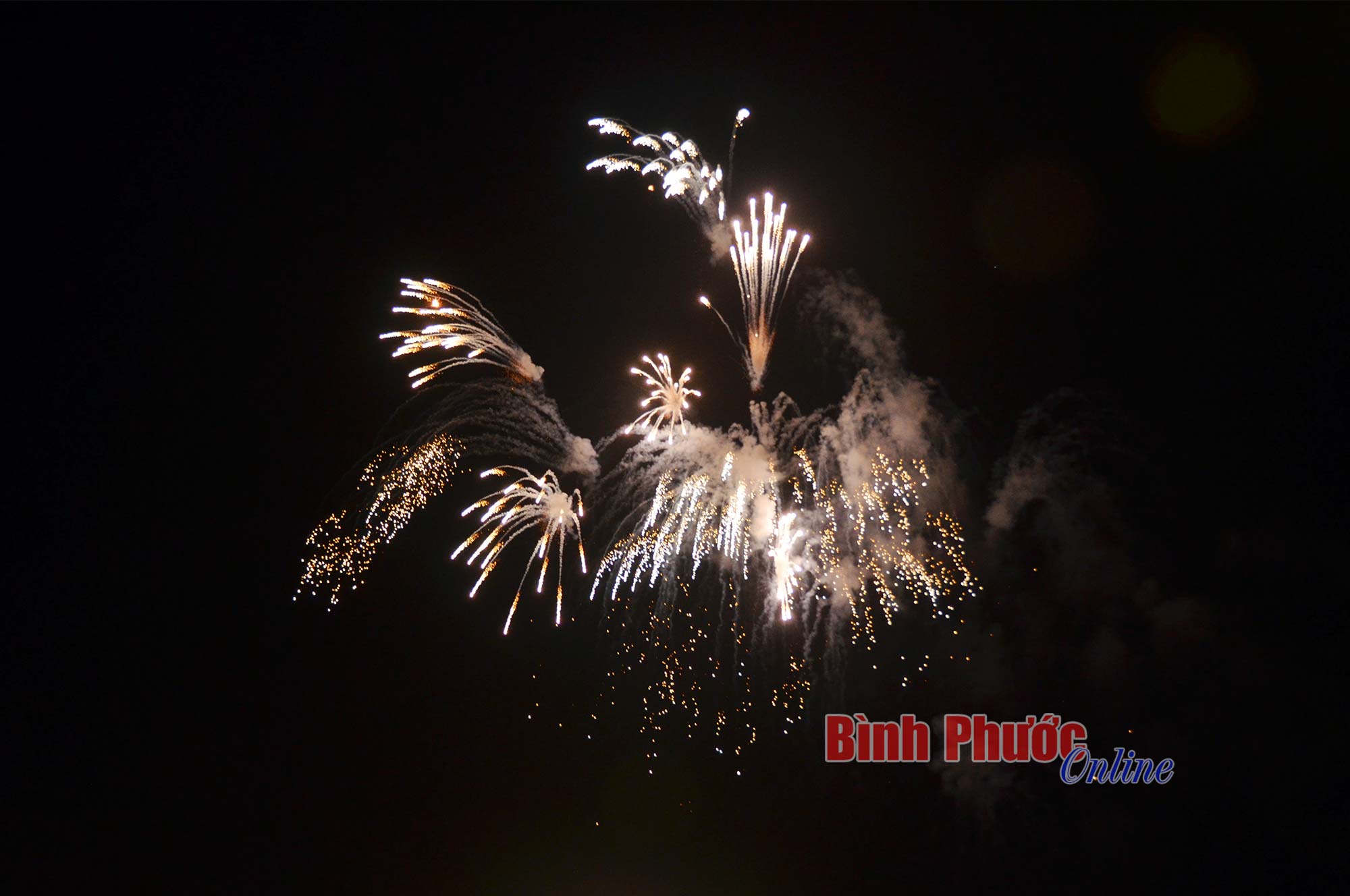 qvh_6139_10475616022024.jpg