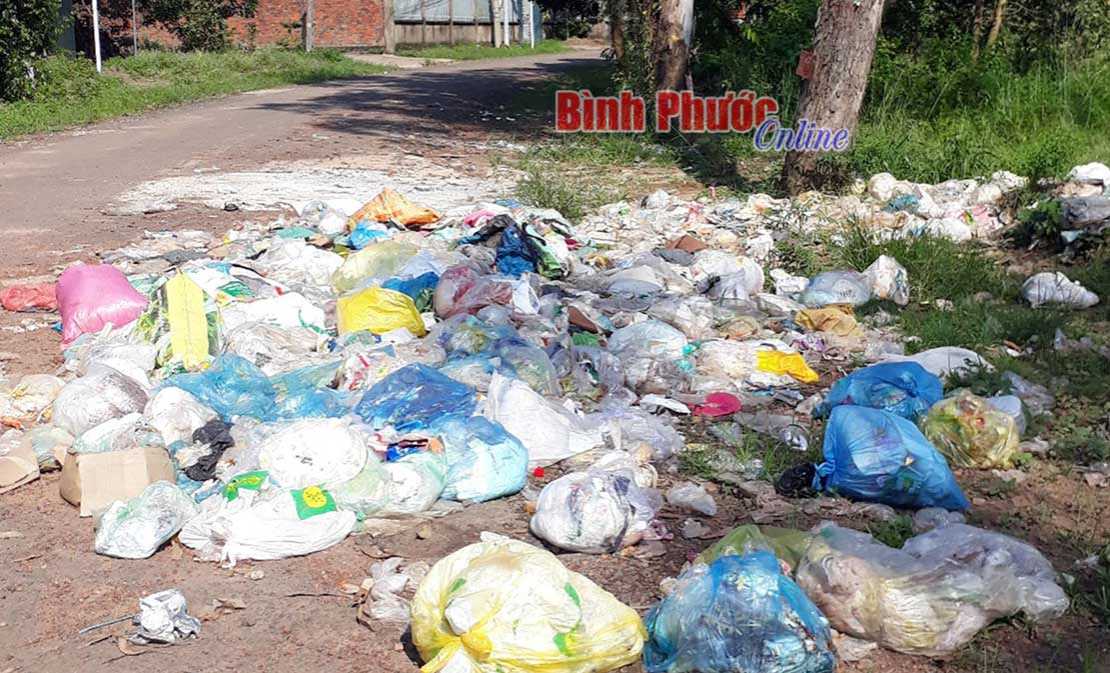 Sống chung với rác Sống chung với rác