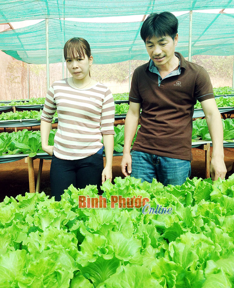 Bình Phước hướng đến một nền nông nghiệp hiện đại Bình Phước hướng đến một nền nông nghiệp hiện đại