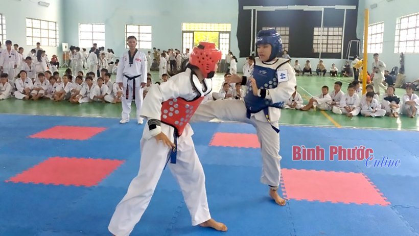 Rèn ý chí, thể chất từ taekwondo