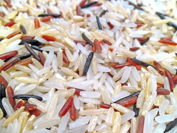 rice04052019091718.jpg