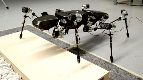Robot bọ que 6 chân