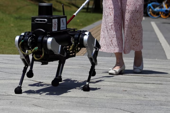robot_010724_1_19465701072024.jpg
