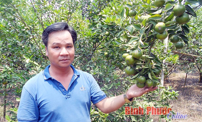 Rời phố lên rừng làm giàu Rời phố lên rừng làm giàu