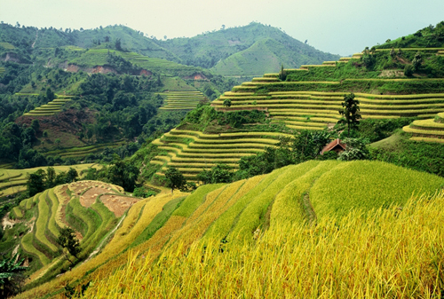 Rong ruổi thu Tây Bắc