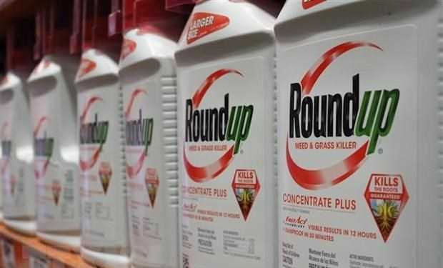 Tòa án yêu cầu công khai mức độc hại của chất diệt cỏ glyphosate Tòa án yêu cầu công khai mức độc hại của chất diệt cỏ glyphosate