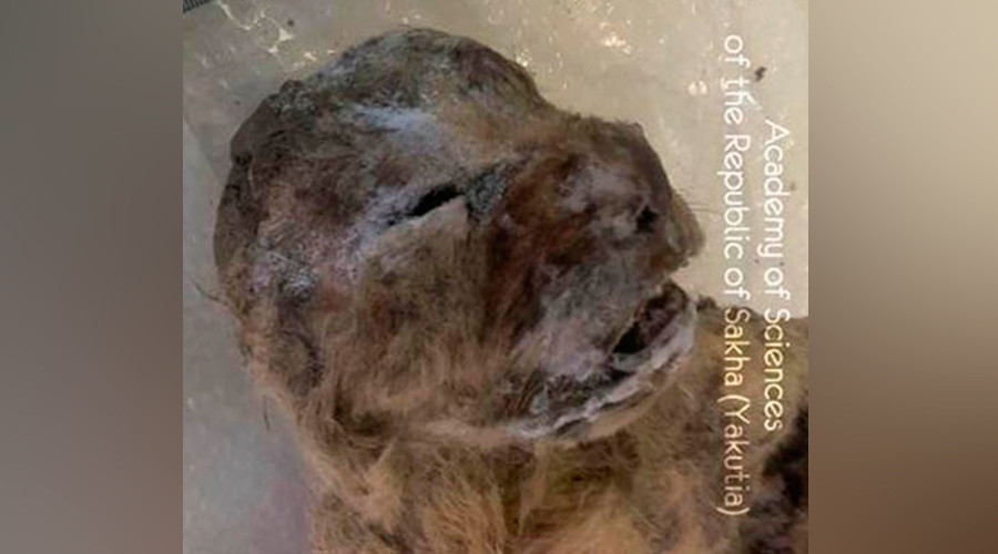 s4-204012018034229.jpg