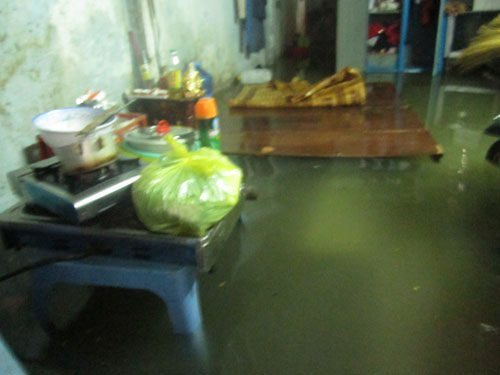 saigonngaplut15.jpg