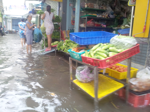 saigonngaplut16.jpg
