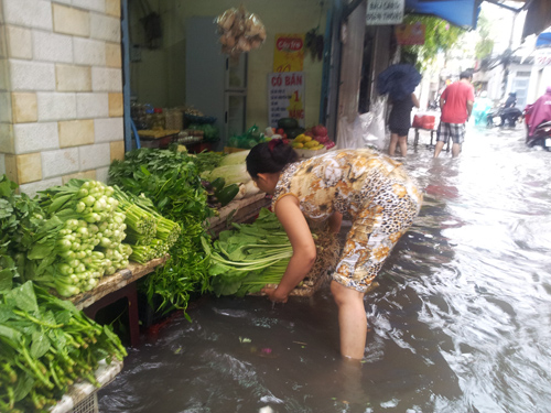 saigonngaplut17.jpg