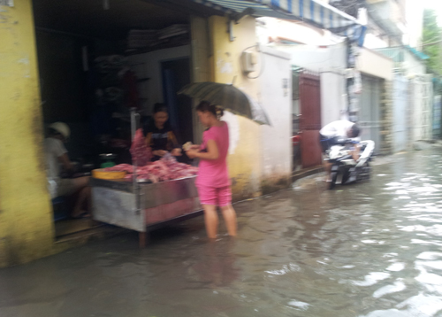 saigonngaplut18.jpg